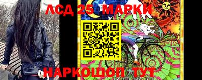 прущие крисы Бийск