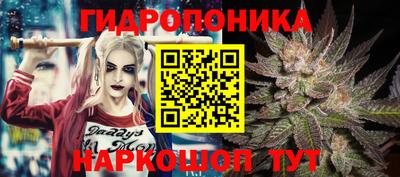 прущие крисы Бийск