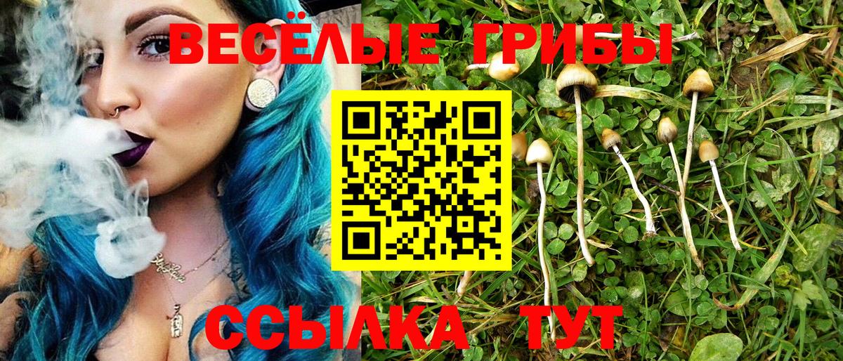 Галлюциногенные грибы прущие грибы Вичуга