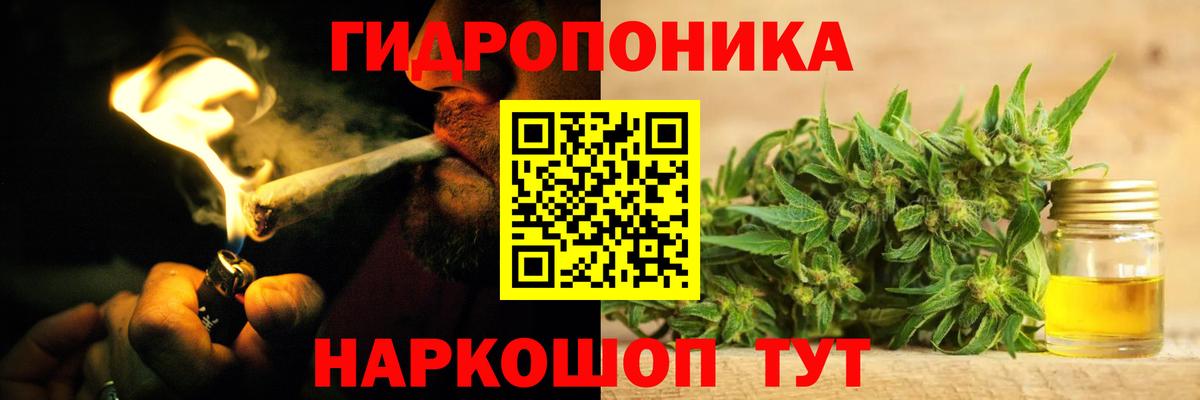 Канабис планчик Вичуга